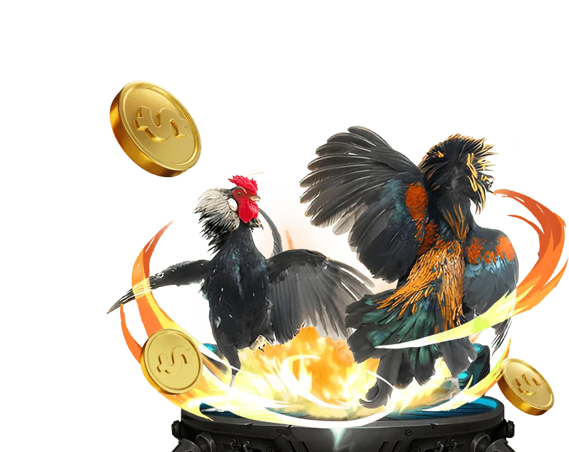 Hình ảnh các biến thể phổ biến của Tiến Lên